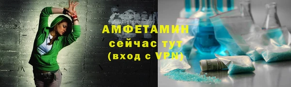 твердый Инта