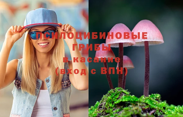 твердый Инта