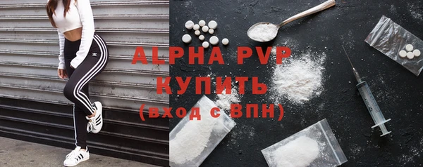 Альфа ПВП Инсар